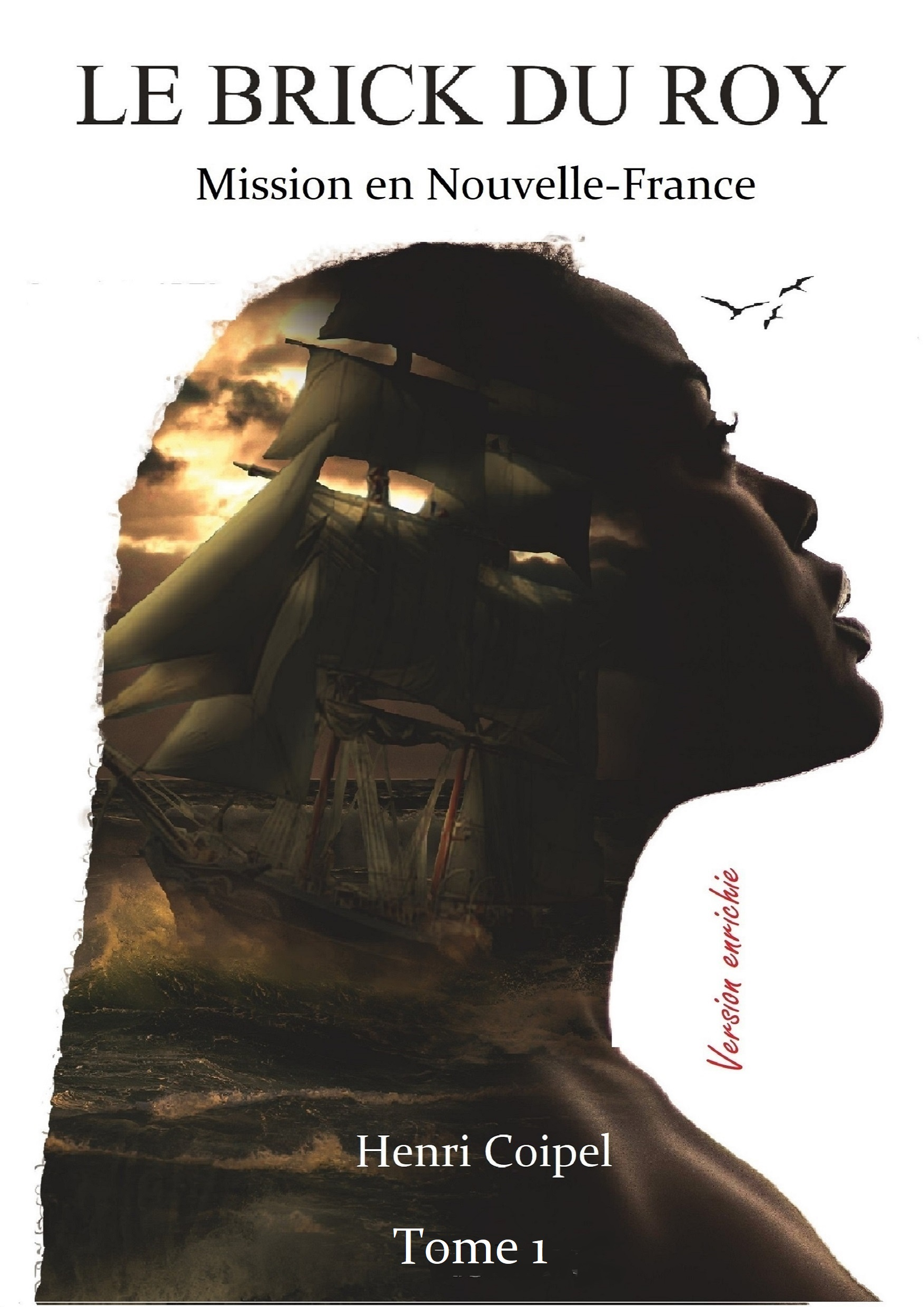 Le Brick du Roy En Nouvelle-France