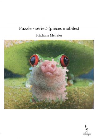 Puzzle - série 5 (pièces mobiles)
