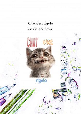Chat c'est rigolo
