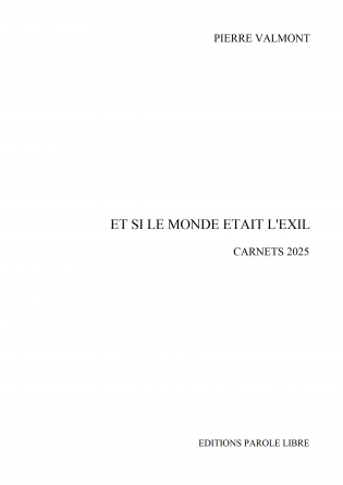 Et si le monde était l'exil