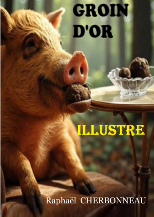 GROIN D'OR illustré