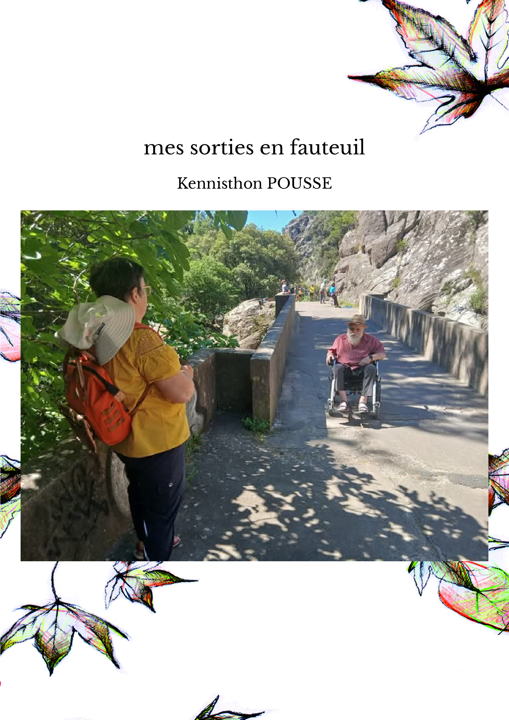 mes sorties en fauteuil