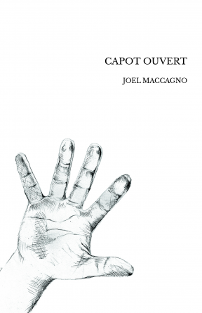 CAPOT OUVERT