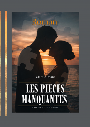 Les pièces manquantes