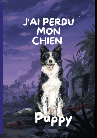 J'ai Perdu Mon Chien Puppy