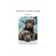 Les chiens: un guide complet