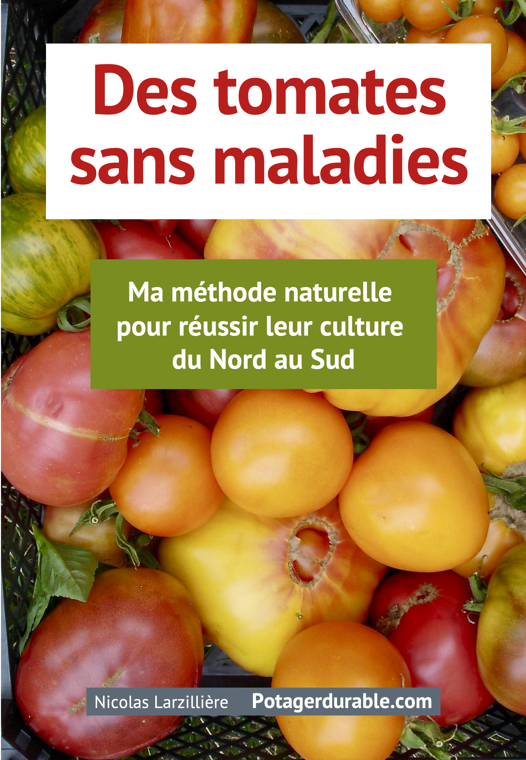 Des tomates sans maladies