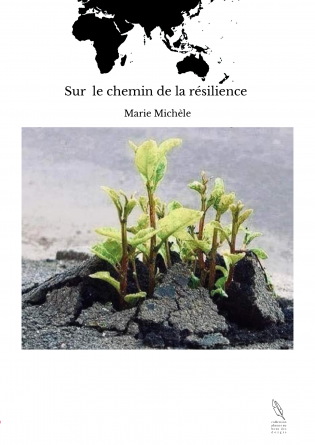 Sur le chemin de la résilience 