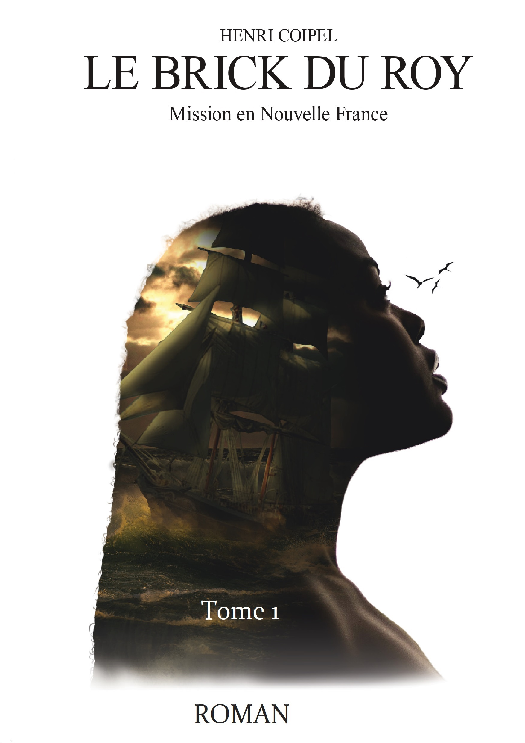 Le Brick du Roy En Nouvelle-France