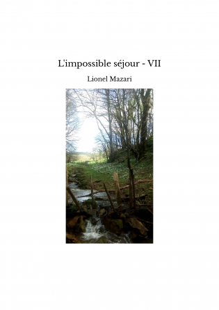 L'impossible séjour - VII