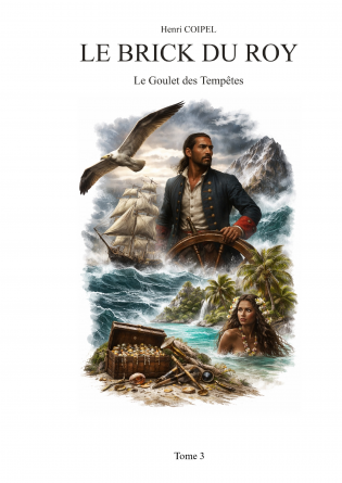 Le Brick du Roy- Le Goulet des Tempête