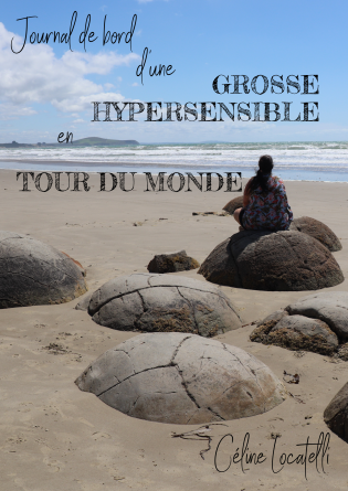 Journal de bord d'une grosse hypers...