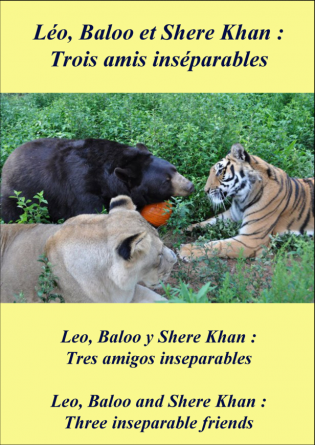 Léo, Baloo et Shere Khan