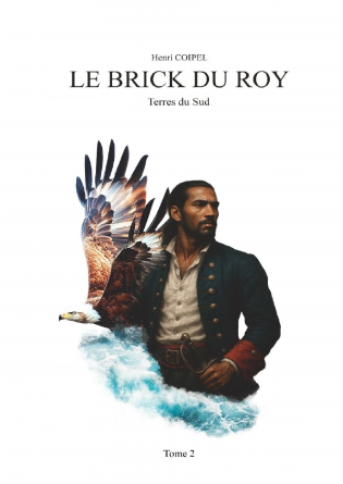 Le Brick du Roy