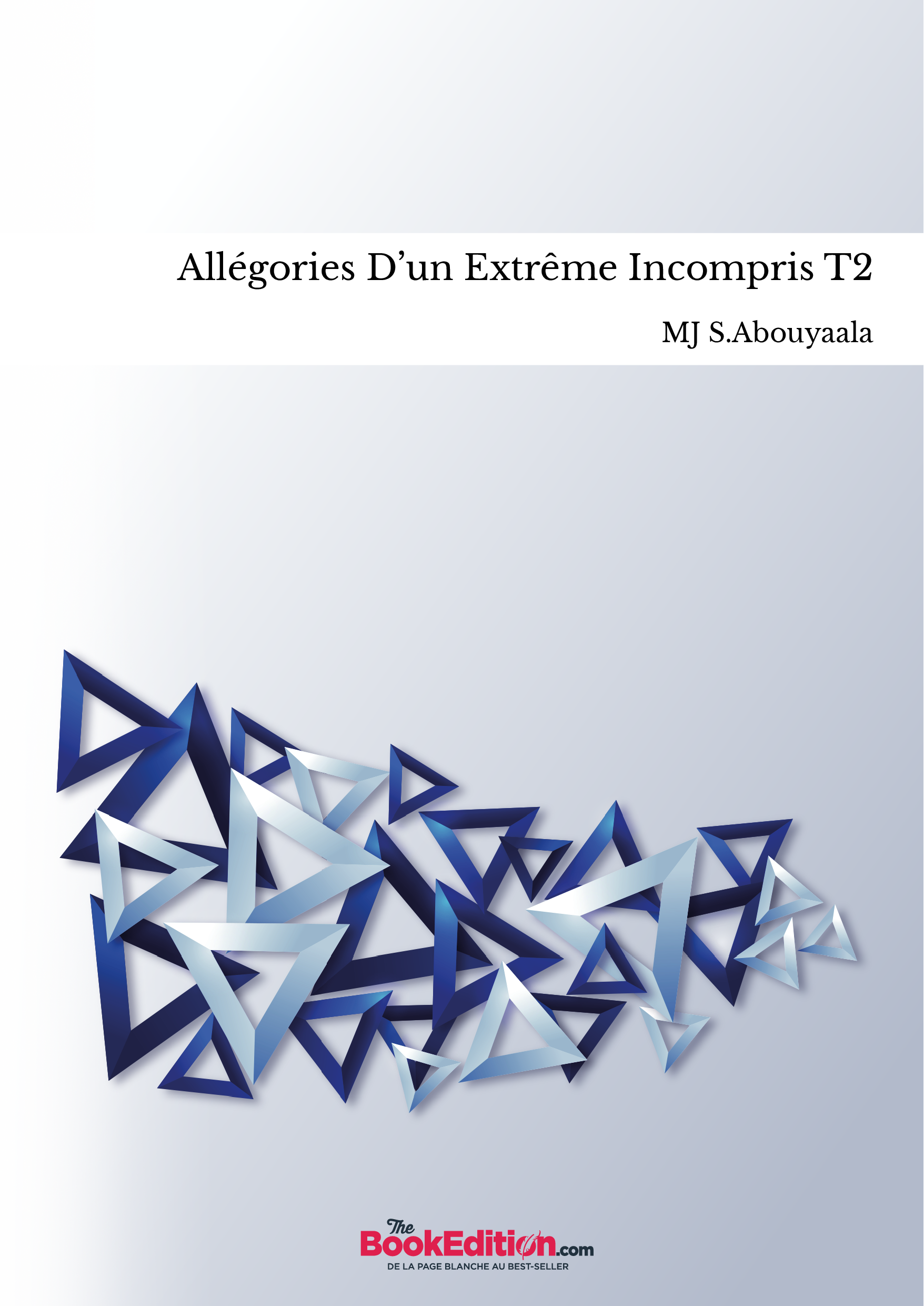 Allégories D’un Extrême Incompris T2