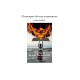 Chroniques de mes renaissances