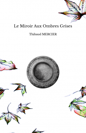 Le Miroir Aux Ombres Grises
