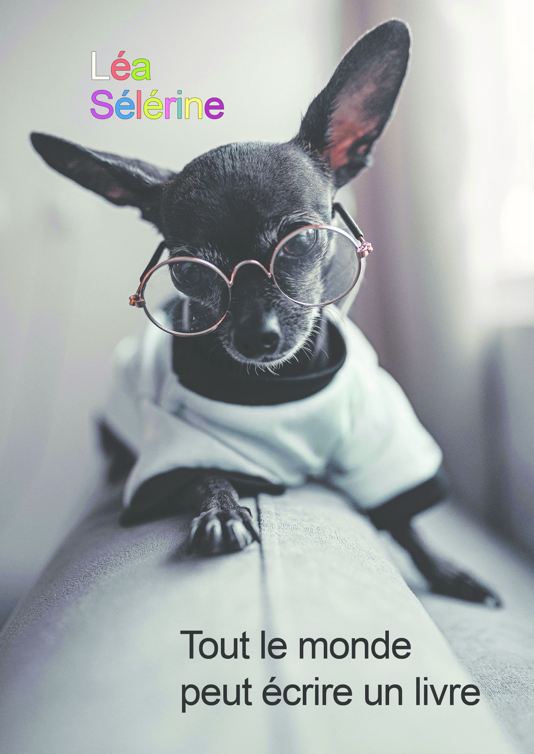 Tout le monde peut écrire un livre