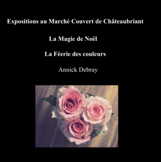 Expositions au Marché Couvert