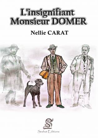 L'insignifiant Monsieur DOMER