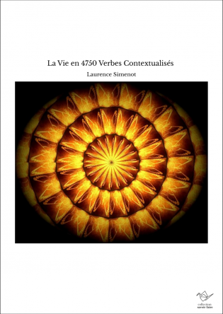 La Vie en 4750 Verbes Contextualisés 