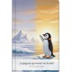 Le pingouin qui voulait voir le soleil