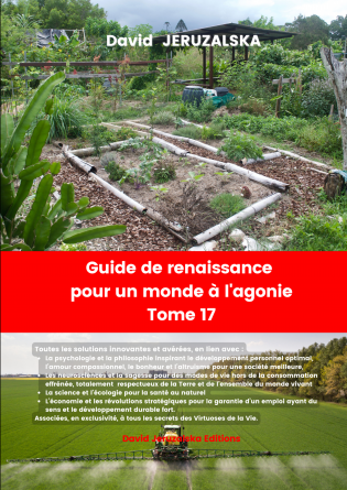 Guide de renaissance pour un monde T17