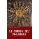 Le champ des possibles
