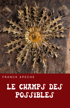 Le champ des possibles