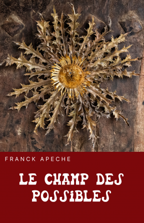 Le champ des possibles