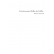 Les battements d'ailes du Colibri 