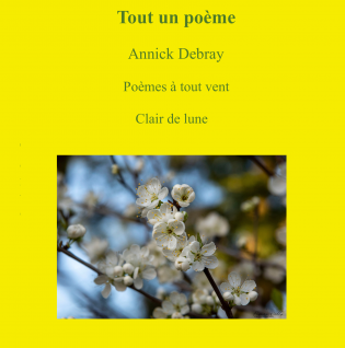 Tout un poème