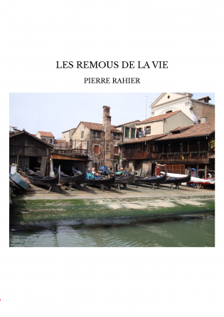 LES REMOUS DE LA VIE