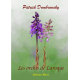 Les orchis de Laroque