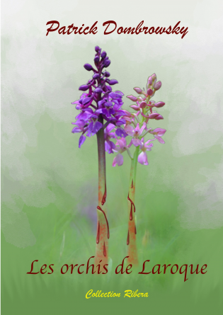 Les orchis de Laroque