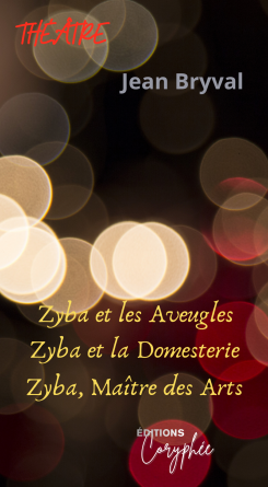 ZYBA LE DRÔLE