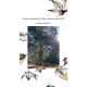 Vivre en Homme Libre. Chant Lexical T4