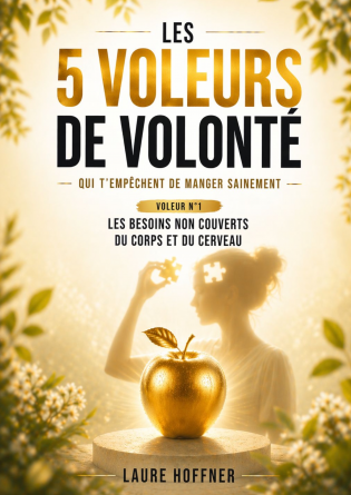 Les 5 voleurs de volonté_Tome 1