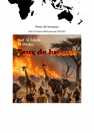 Feux de brousse