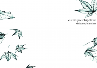le suivi pour bipolaire