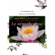 Le nénuphar rose