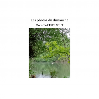 Les photos du dimanche