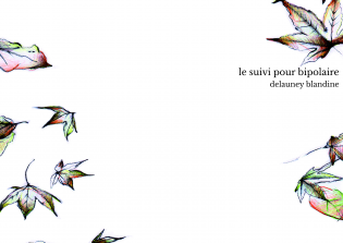 le suivi pour bipolaire