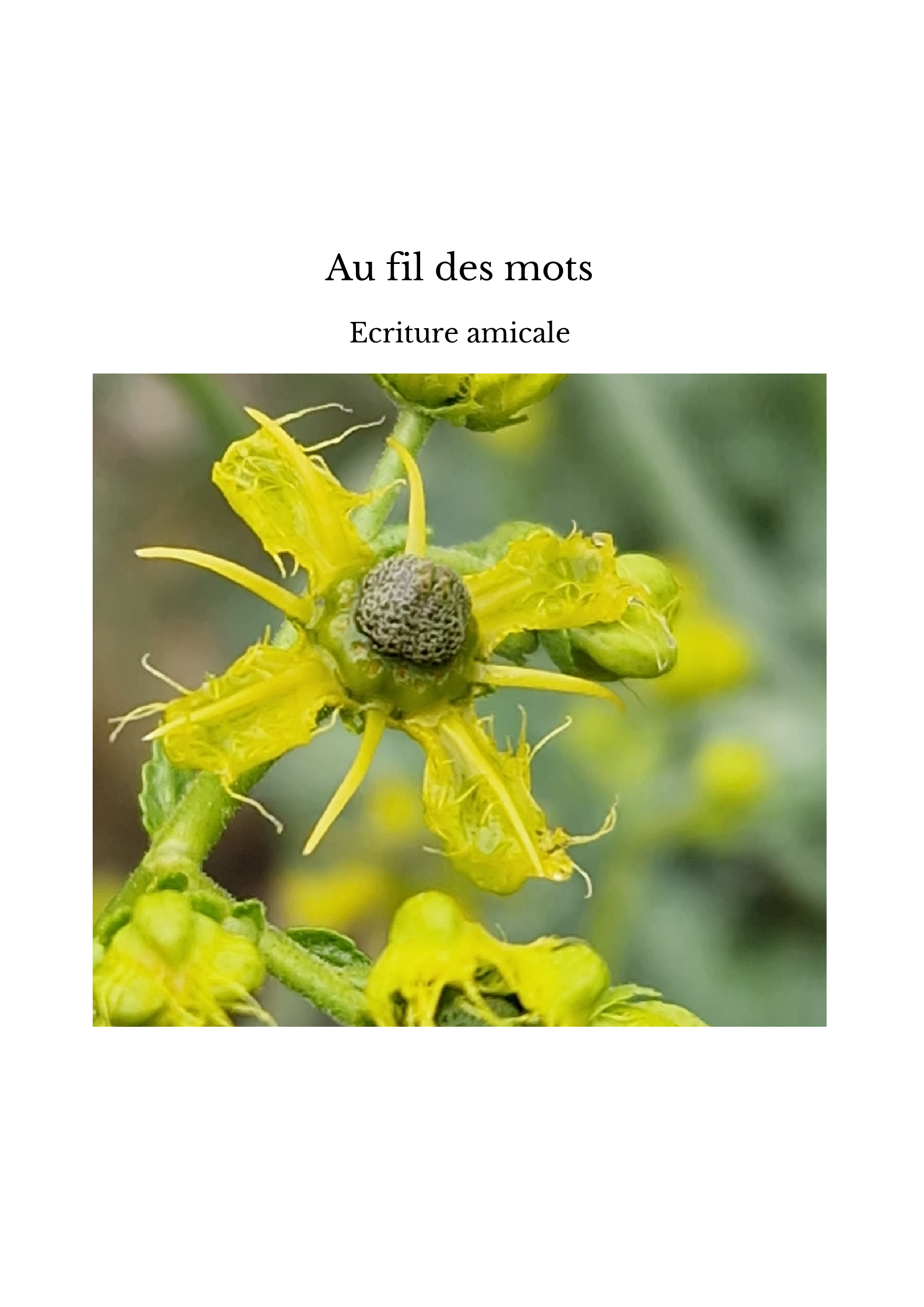 Au fil des mots