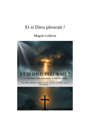 Et si Dieu pleurait ?