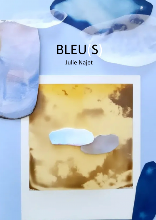 BLEU(S)