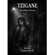 TZIGANE - Frontières brisées