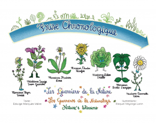 Frise chronologique