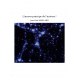 L'amour principe de l'univers ?
