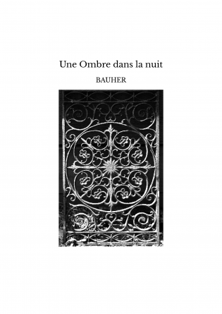 Une Ombre dans la nuit